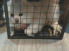 -伽利略剧本探案馆(国贸店)