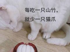 -憨铁匠老火锅(龙岗万科里店)