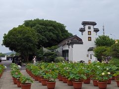 -无锡蠡湖国家湿地公园-蠡园