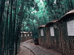 -同里国家湿地公园