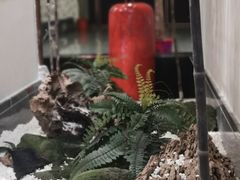 -雅和睿景·商务宴·风味土窑鸡(花博汇店)