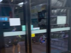 -瑞派中心宠物医院·CT·核磁·神经专科