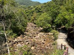 -广州白江湖森林公园