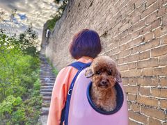 -蟠龙山长城景区