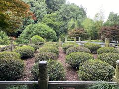 -十八棵（老龙井）御茶园(老龙井店)