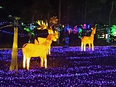 -广东花都香草世界旅游度假区