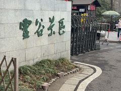 -灵谷景区