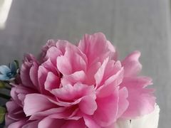 -南堂馆·新川菜(春熙路店)