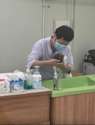点击看大图 -北京嘉禾医疗