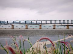 -南沙蒲洲花园