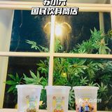 苏小六·国民饮料商店|| 9.9 get超大杯正宗苏式绿豆汤