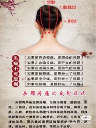 -香薇妮丝女子减肥院