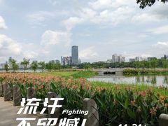 -南宁南湖公园