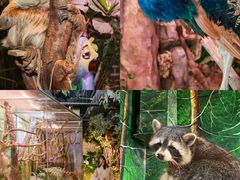 -正佳雨林生态植物园