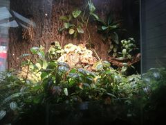 -有才叔的小馆(招商依云曲江店)