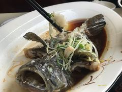 -鑫悦楼煎蟹·16年海鲜大排档