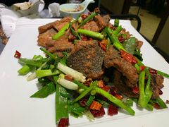 -金龙·打边炉(武进路店)
