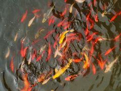 -十渡东湖港风景区