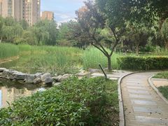 -木塔寺遗址生态公园