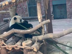 -黔灵山公园