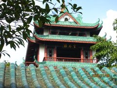 -桂湖森林公园