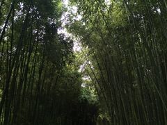 -苏州河梦清园环保主题公园