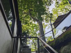 -青竺·青竹茶舍(断桥店)