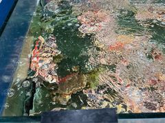 -聚鲜阁海鲜美食城(香水湾店)