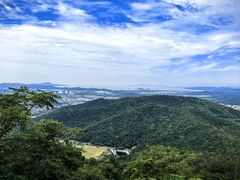 -惠山国家森林公园