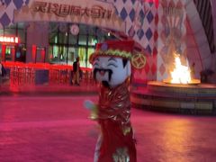 -灵玲国际马戏城