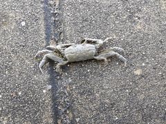 -北海金海湾红树林生态旅游区