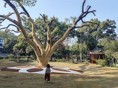 -三台山庄中餐厅