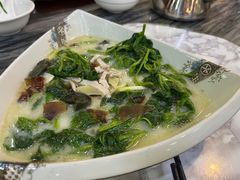 -鸽鸟轩(石岐店)