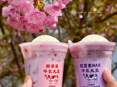 -兰熊鲜奶(颐堤港店)