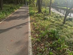 -黄兴公园