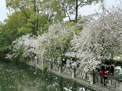 -棠湖公园