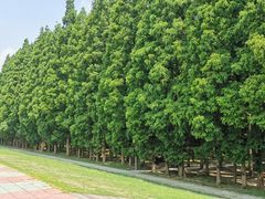 -南京金牛湖风景区