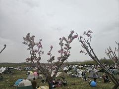 -君乐宝优致牧场