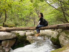 -秦岭风景区