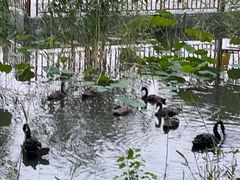 -颐和园