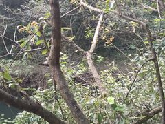 -小格里自然风景区