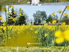 -汉长安城未央宫国家考古遗址公园