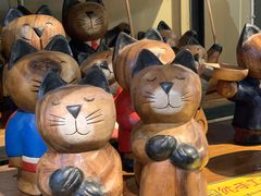 -猫咪博物馆(顶澳仔猫街店)