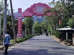 -北京凤凰岭