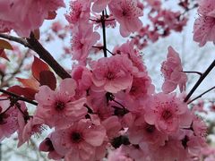 -长辛店二七公园