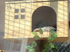 -青藏高原野生动物园