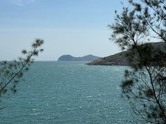 -广东惠东海龟国家级自然保护区