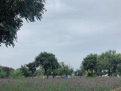 -密云玫瑰情园