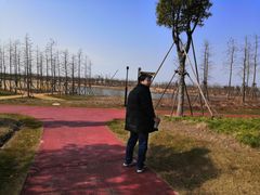 景点-春花秋色城市公园