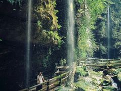-碧峰峡风景区